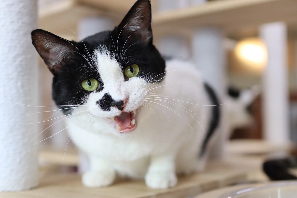 日々の活動のほんの一部になりますが、SNSで発信しています。