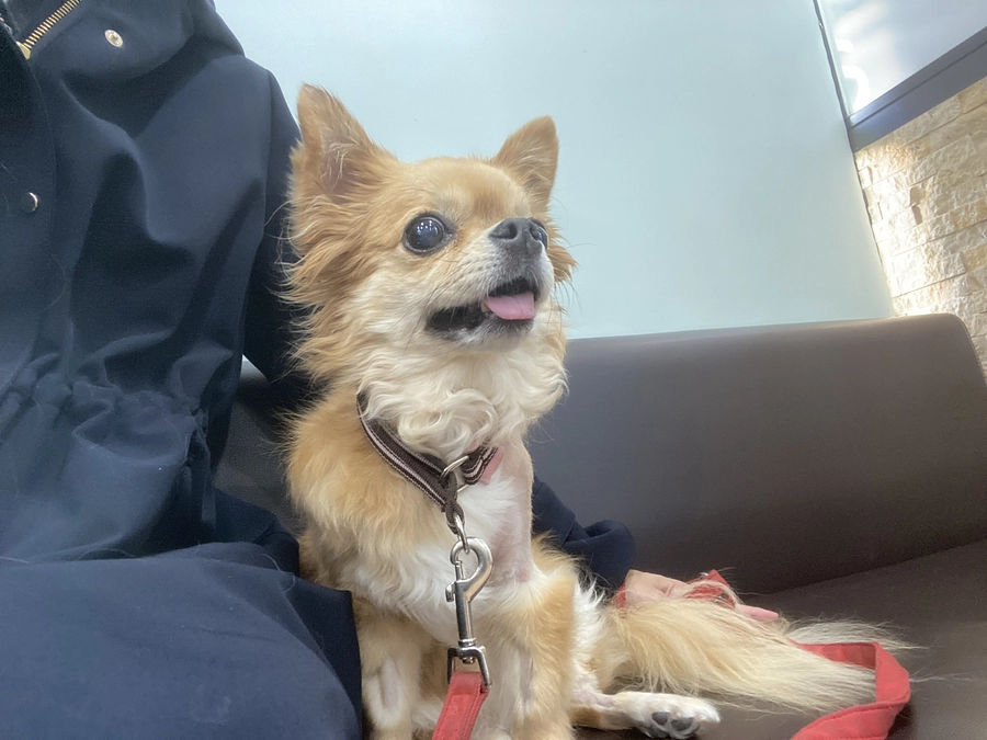 抜糸しました！！