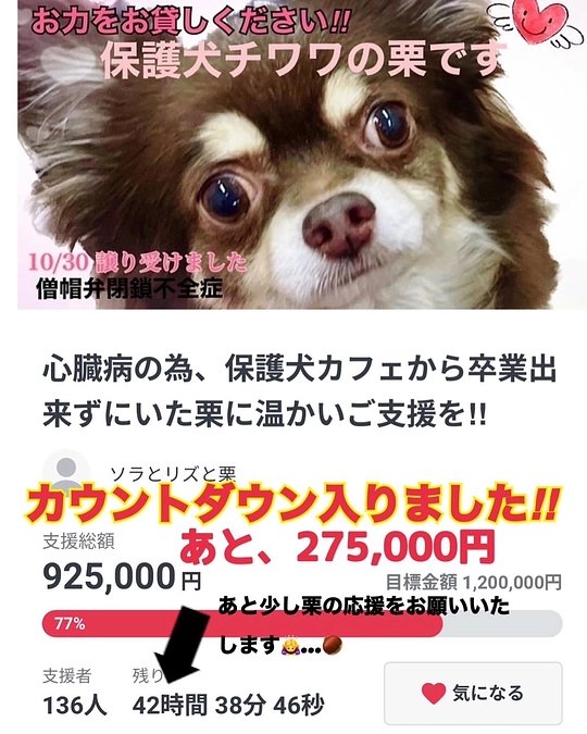 2024/1/26　残り38時間　達成率77％　カウントダウンとなります‼︎