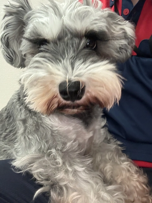 少し元気になってきたもるあ！