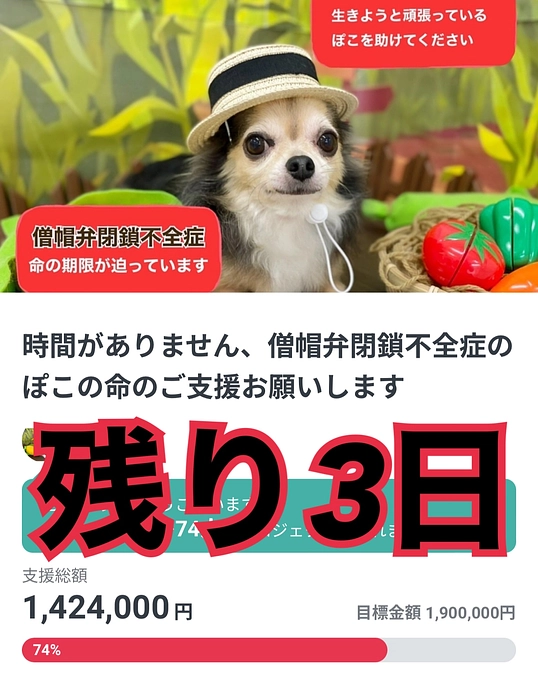 残り3日となりました💦