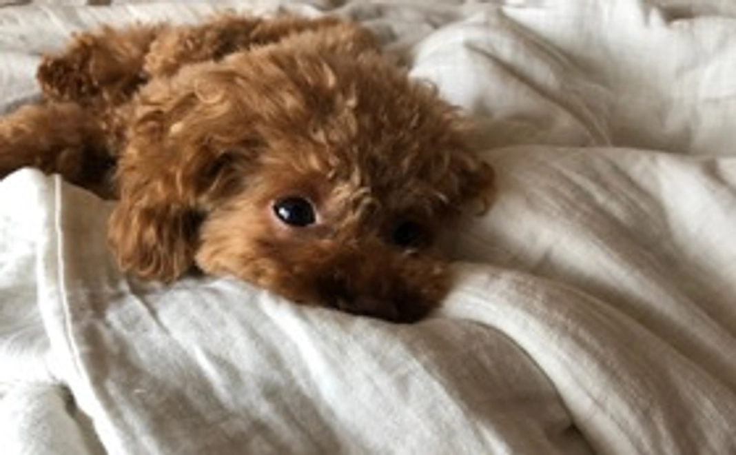 ご支援ありがとうございます ①