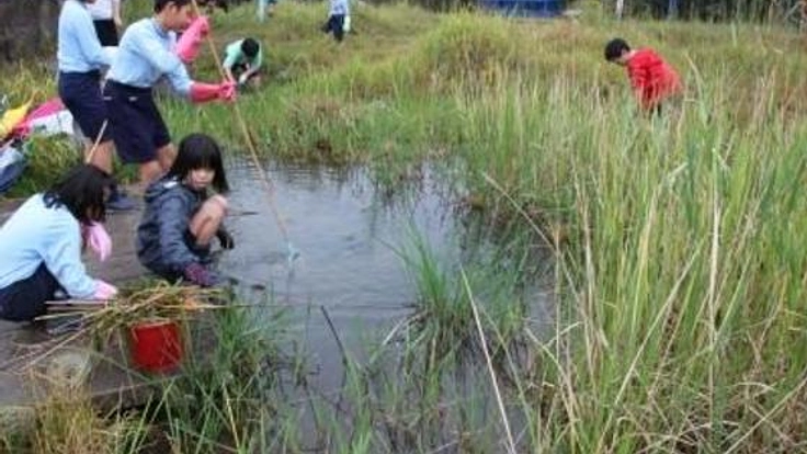 「全国学校・園庭ビオトープコンクール2015」を開催したい！