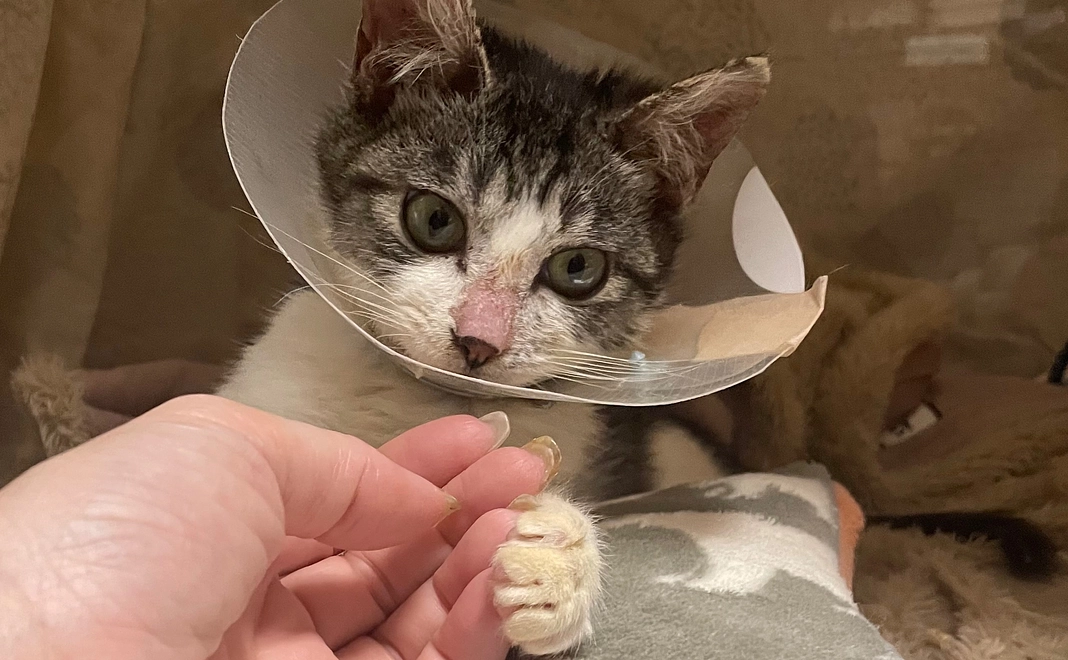 感謝のメール２