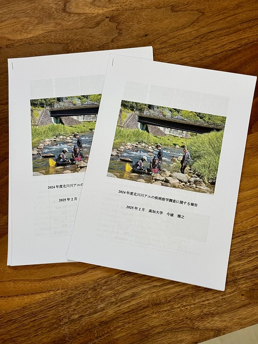 本日、北川川あゆに関する調査報告を行いました。