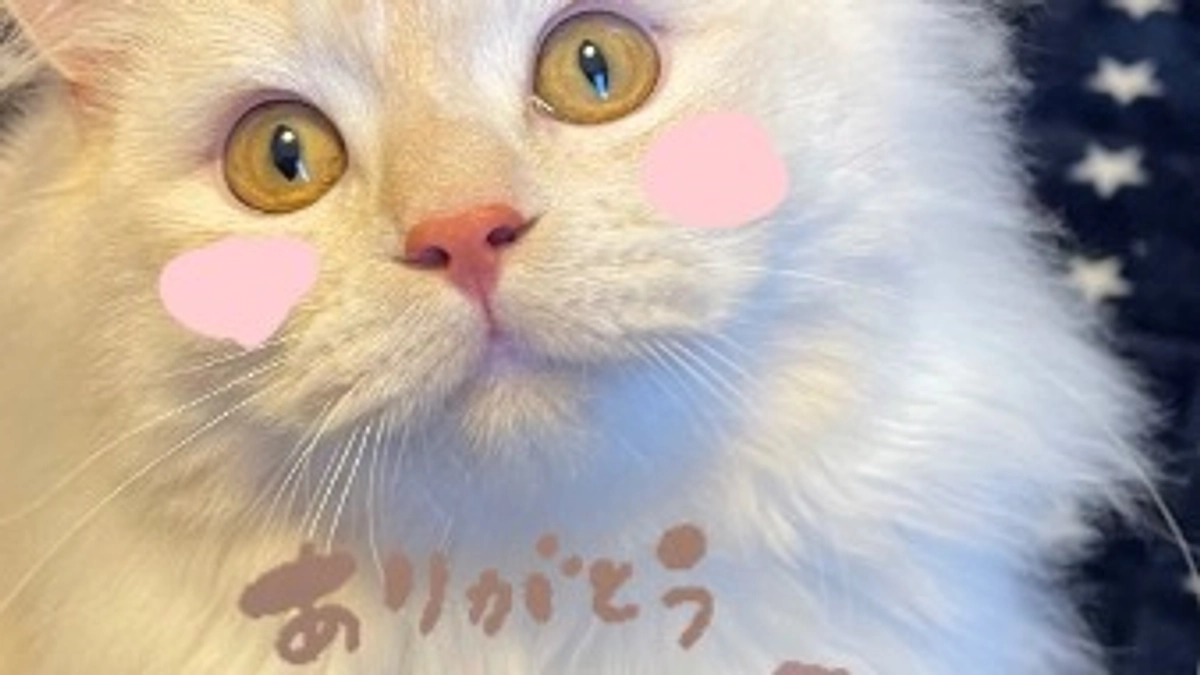 ご支援をいただき感謝いたします🙇‍♀️