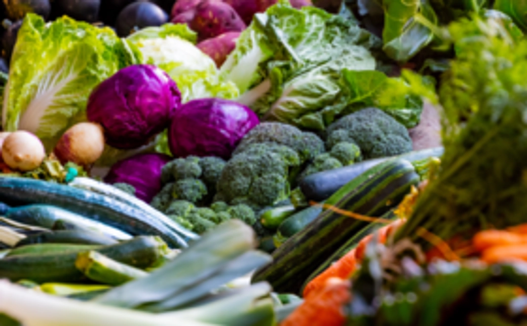 遠征先で調達した特産品をランダムでお送りします！