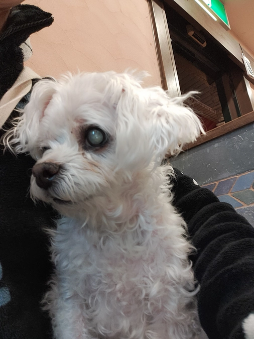 少しづつ良くなっています