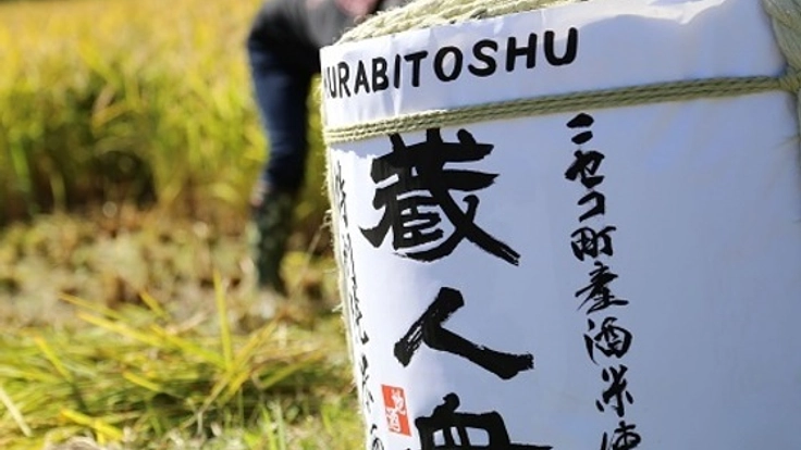 北海道ニセコ町のオリジナル地酒をあなたへ！酒米オーナー募集！
