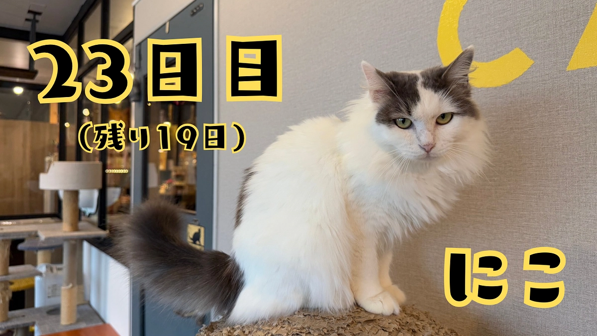 23日目。愛され8周年祭！