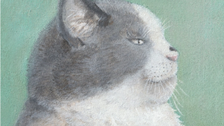 絵本「かなしきデブ猫ちゃん」を被災した愛媛の学校に届けるゼ！