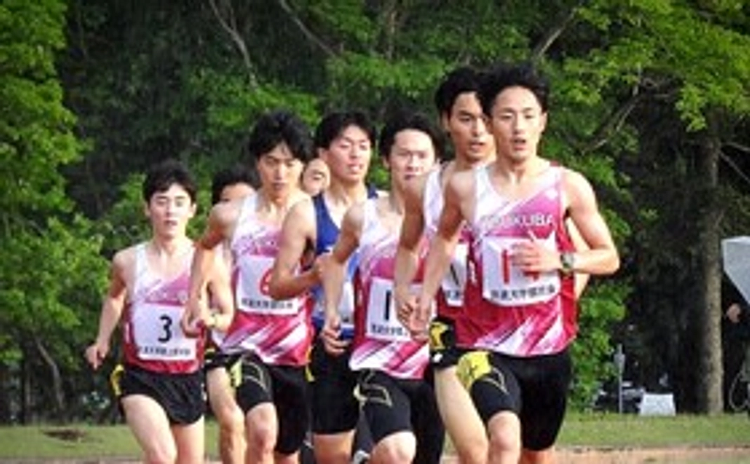 毎月3,000円コース