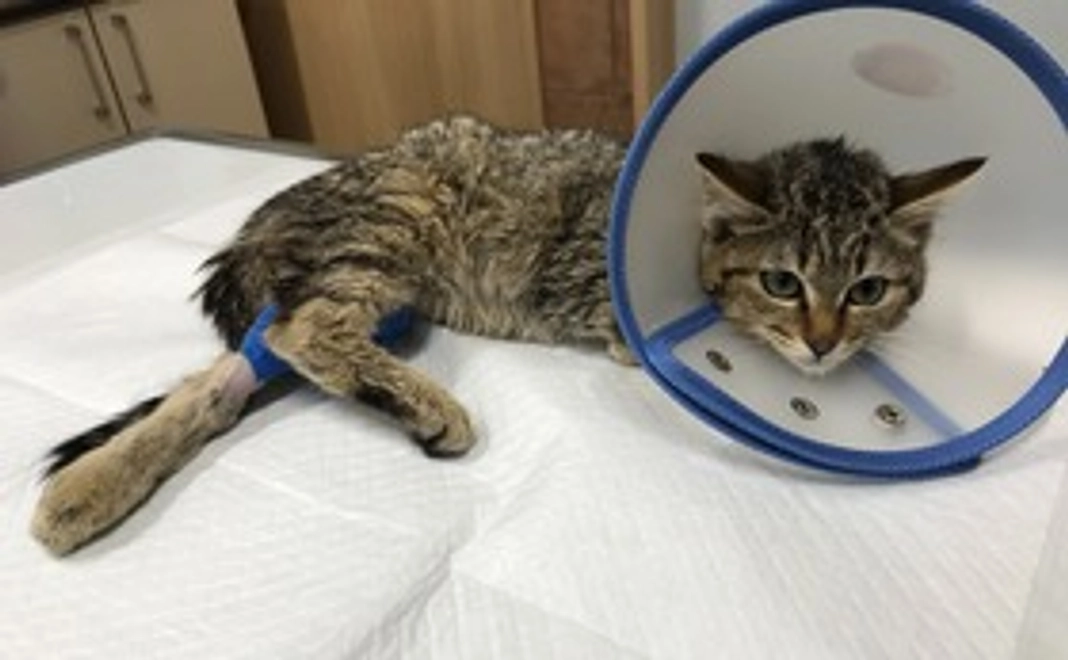 【500円コース】ブログで経過報告します