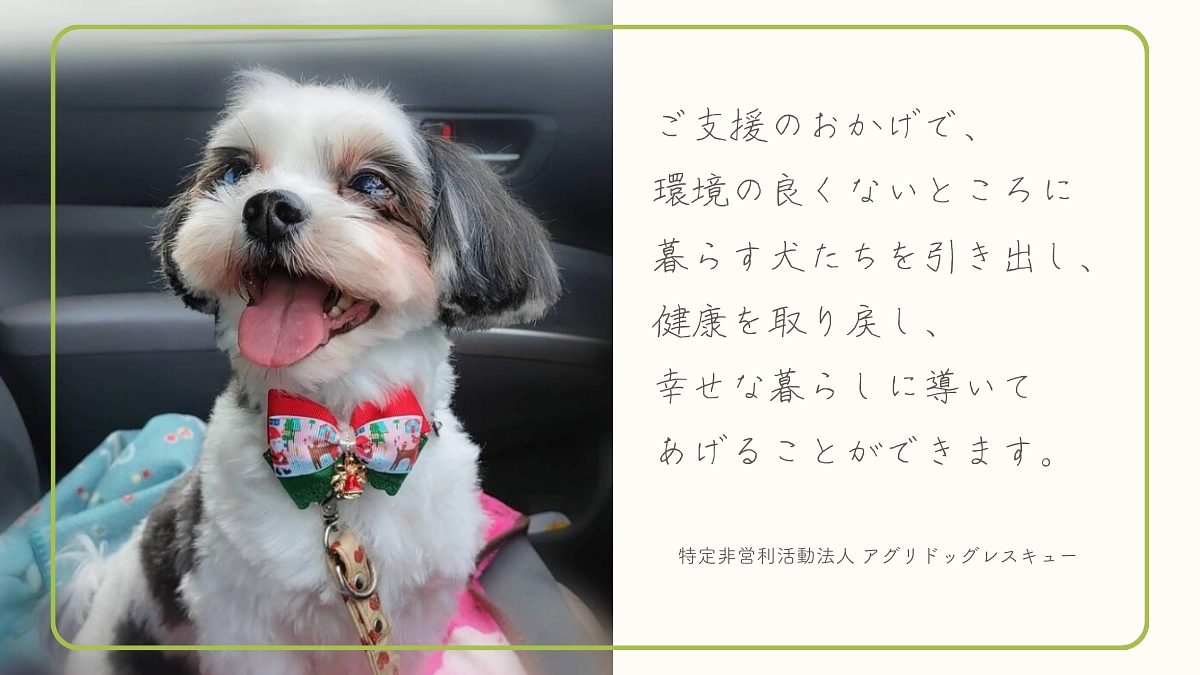 【あと6日】特定非営利活動法人 アグリドッグレスキュー様からの応援メッセージのご紹介！