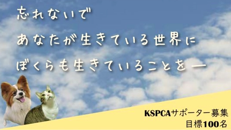 KSPCAサポーター募集｜飼主のいない犬猫達も幸せに暮らせるように