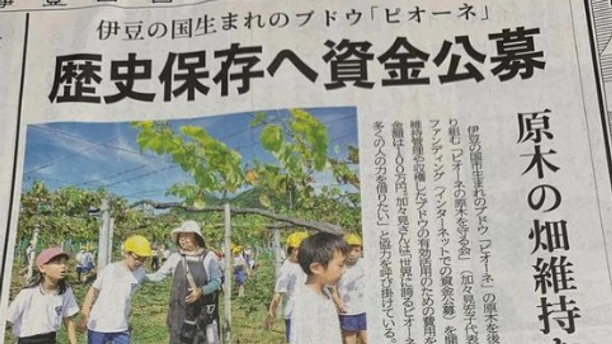 【メディア掲載】伊豆日日新聞に掲載いただきました！