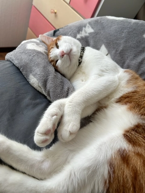 クラウドファンディング達成しました🎉