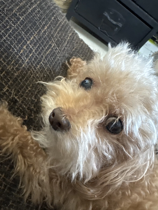 術後1ヶ月と13日経過