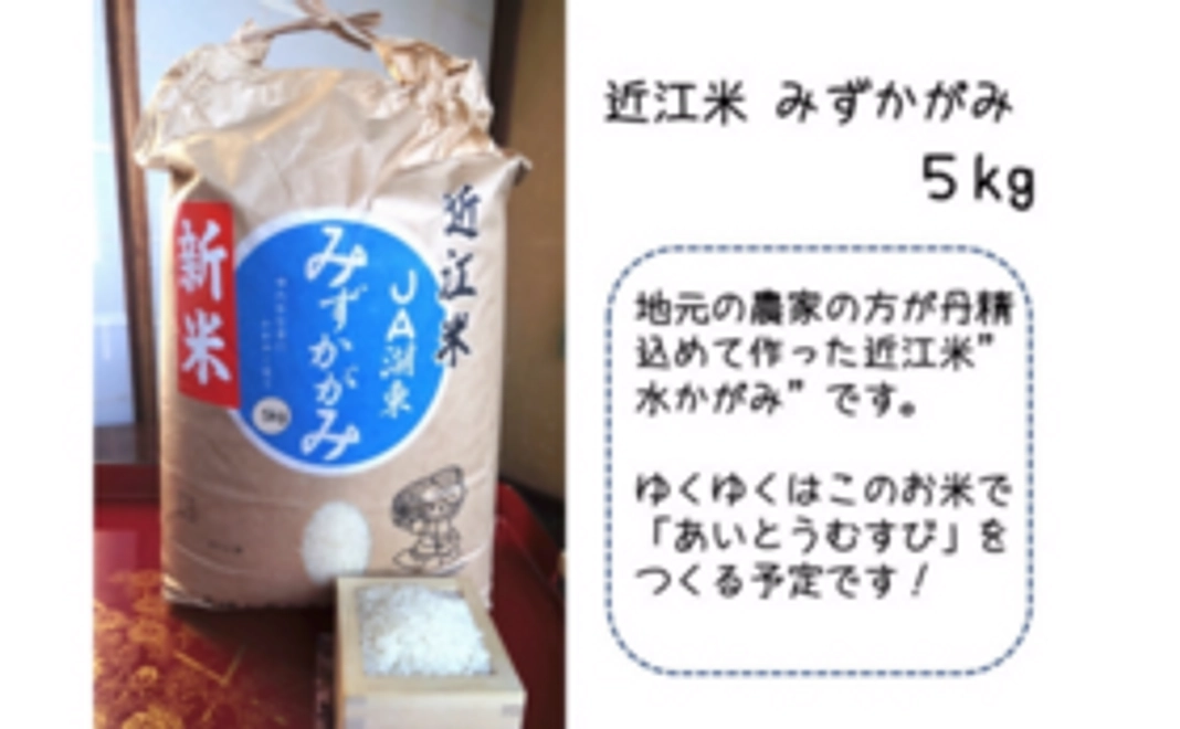 【遠方の方向け】愛東産お米５kg食べて、あいとうむすびを応援！