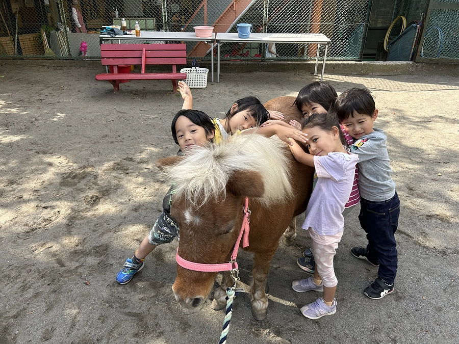 牽引車両大活躍‼️