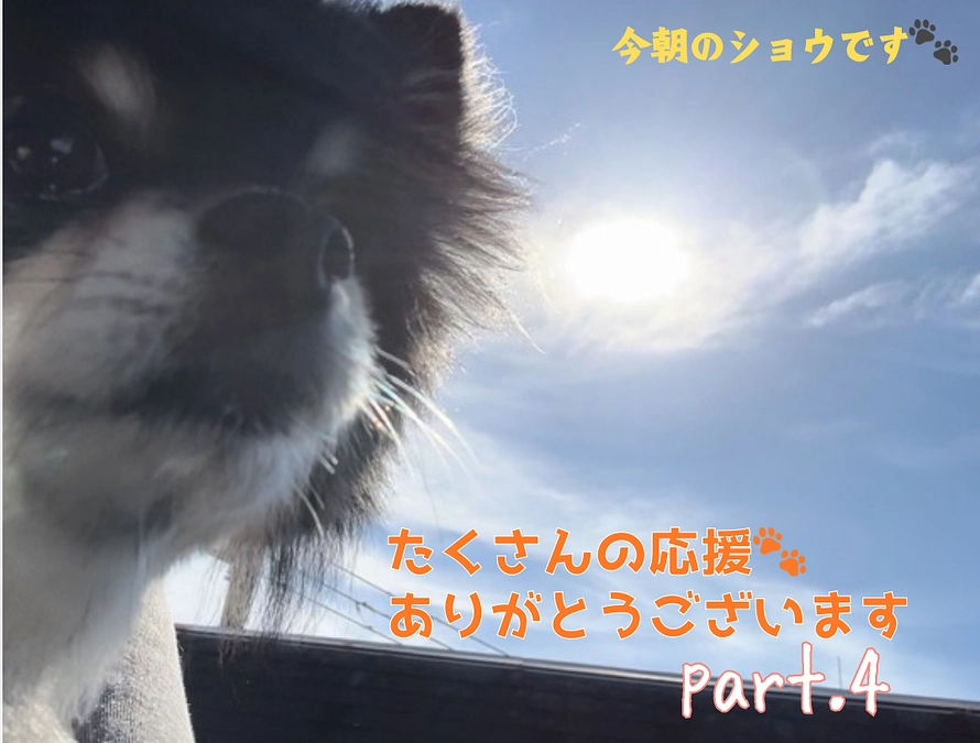 みなさまのお力添えに感謝🙏🐾　part.4