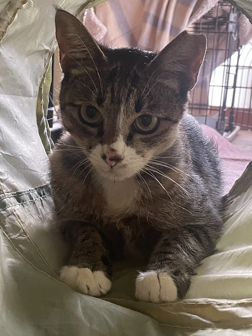 Instagram開設しました。