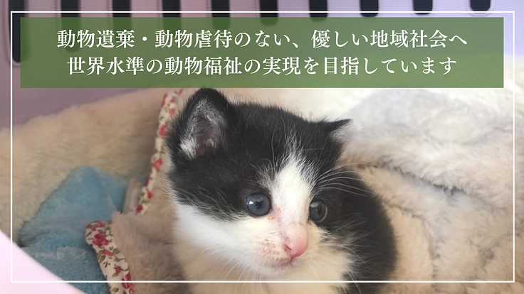 ととの森｜猫と人が出会い、温かいご縁を繋ぐ「はじまりの場」の開設へ 6枚目