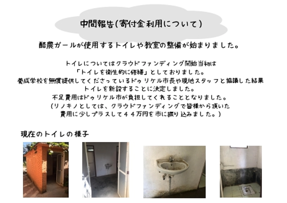 プロジェクト中間報告