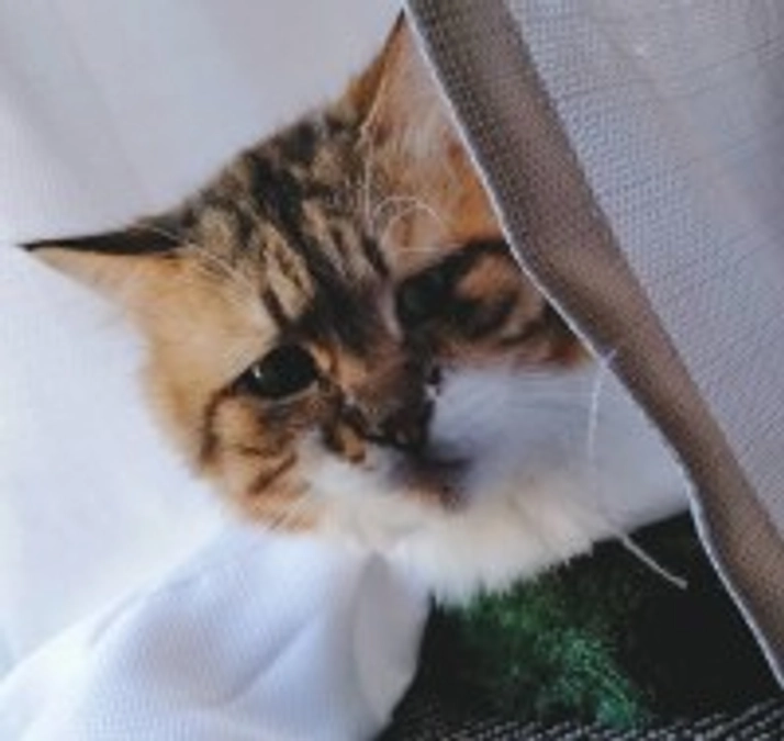 幸せつかんだラブ卒業生