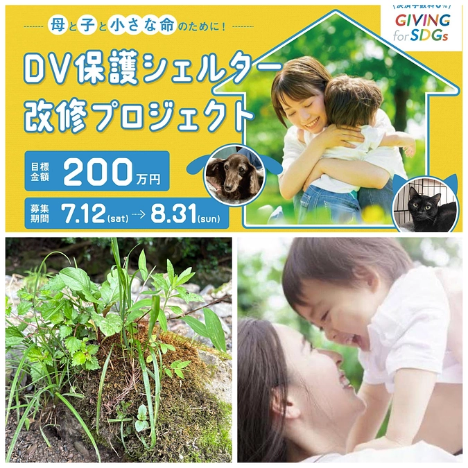 🟥認定NPO法人オリーブの家がクラウドファンディングに挑戦します！