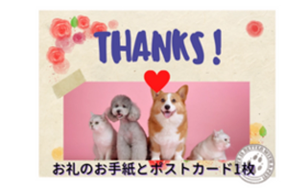 お礼のお手紙＋オリジナルポストカード1枚 ＋施設完成までの経過報告