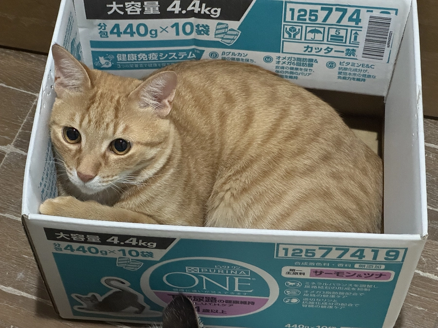 残り3日です。ありがとうございます🙇‍♂️