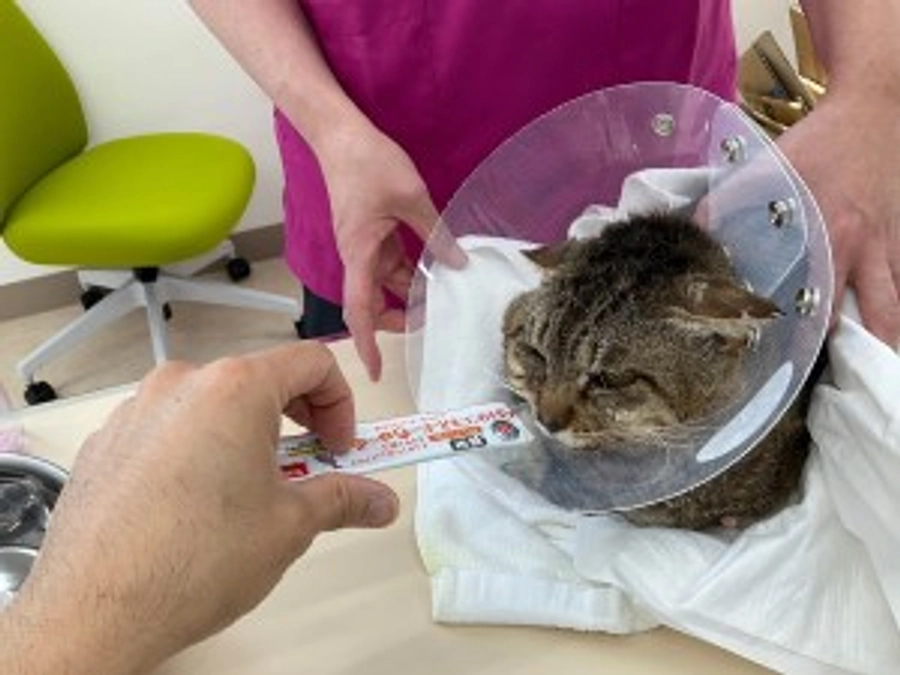 【応援メッセージ】天方　貴之様｜コンパス動物病院　院長