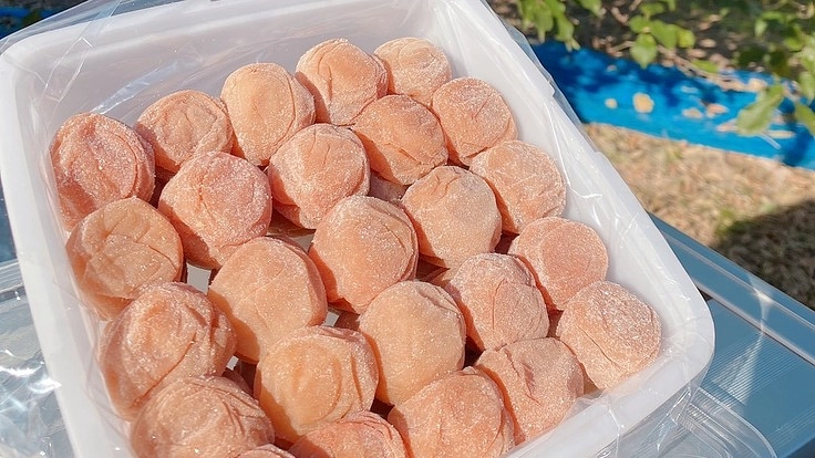 農家経営の安定と産地発展