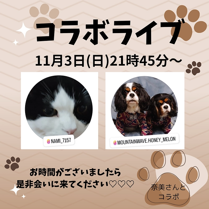 本日11月3日(日)21時45分からインスタLiveをします！