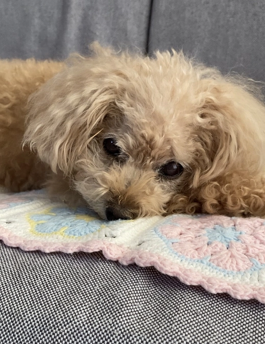 血液検査の結果が出ました…