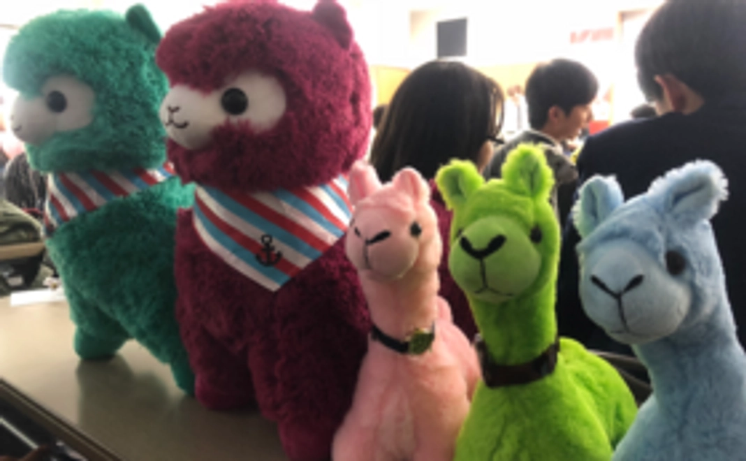 【気軽に応援コース！】サンクスメールをお届けします