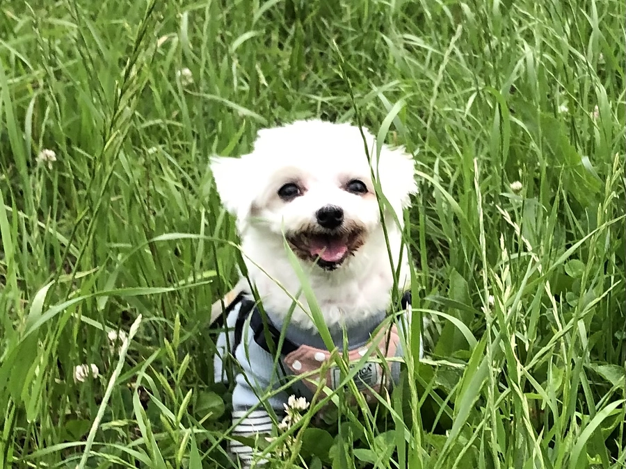 沢山の温かいご支援ありがとうございます❗️