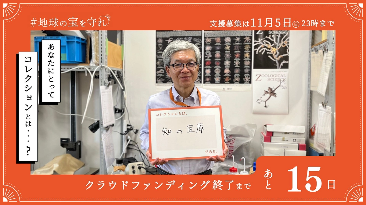 終了まであと15日