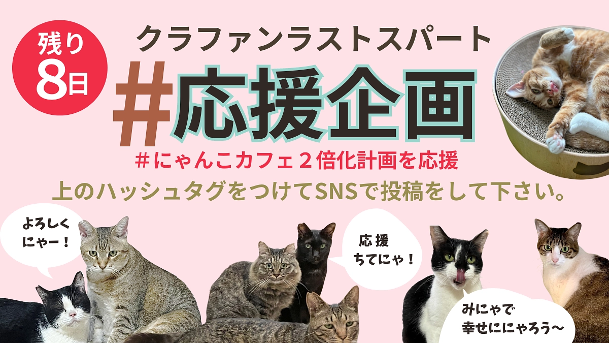 【ラストスパート拡散応援企画！】#にゃんこカフェ2倍化計画を応援　をつけて応援投稿してください！！