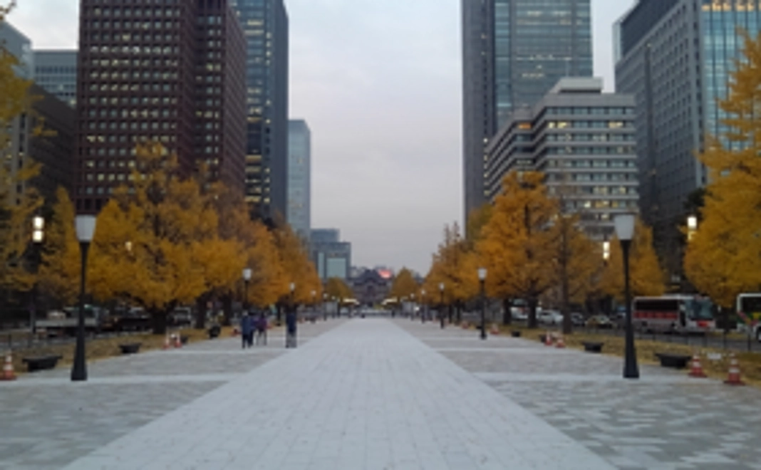 【サポーターとしてお名前がのこります！】「ひときわ」サイトにお名前を掲載（個人のみ）