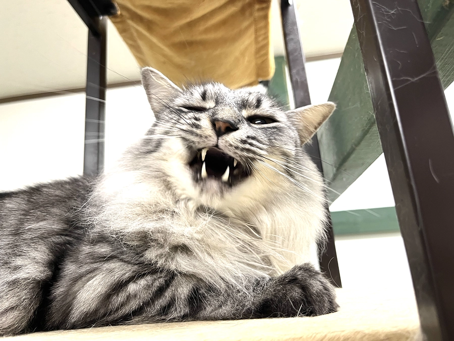 スタートして５日目