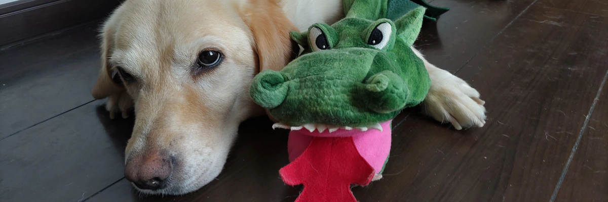 本日もありがとうございました✨