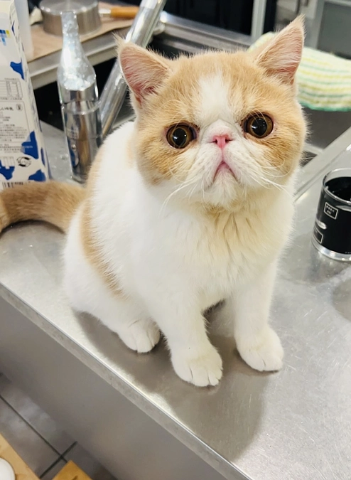 クラファンのプロジェクトを立ち上げて今思うこと