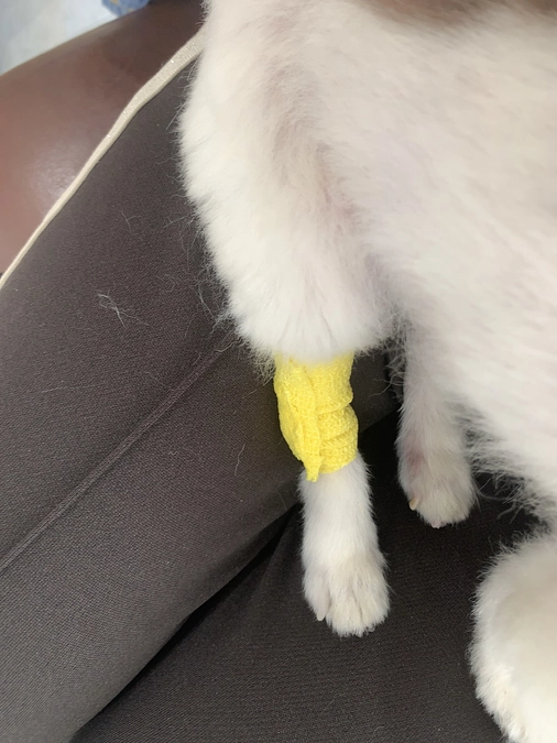 病院に行ってきました🏥