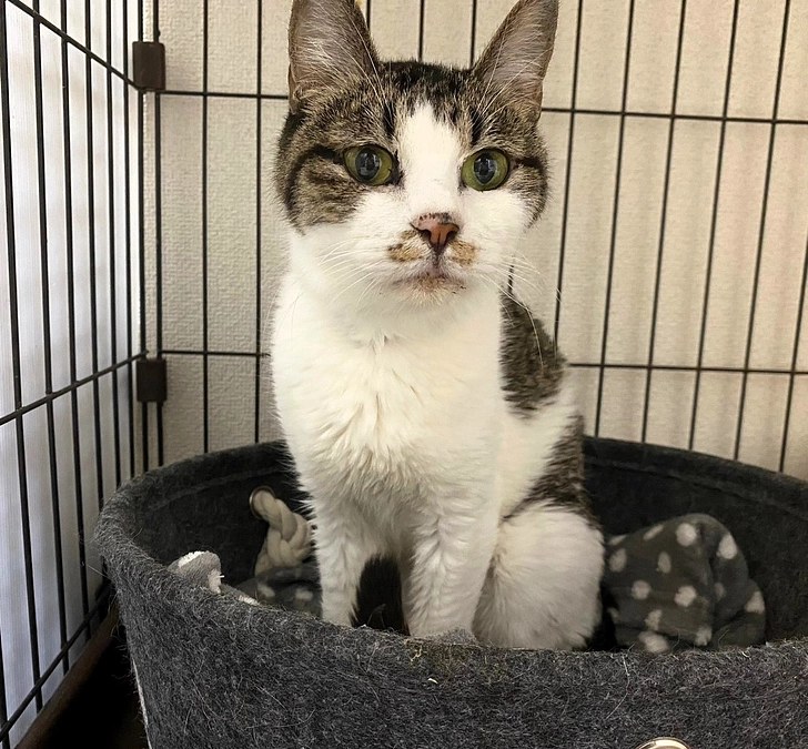 11月になりました。その後のシェルター報告