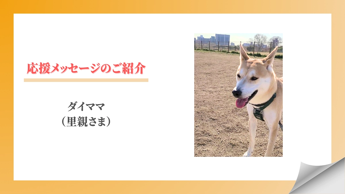 【メッセージリレー#8】ダイママ（里親さま）