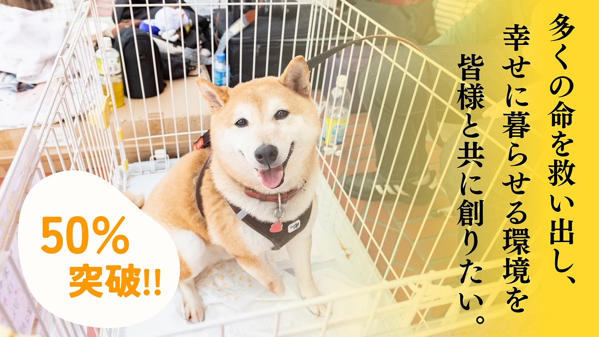 【おしらせ】現在挑戦中のクラウドファンディング、50％を突破！