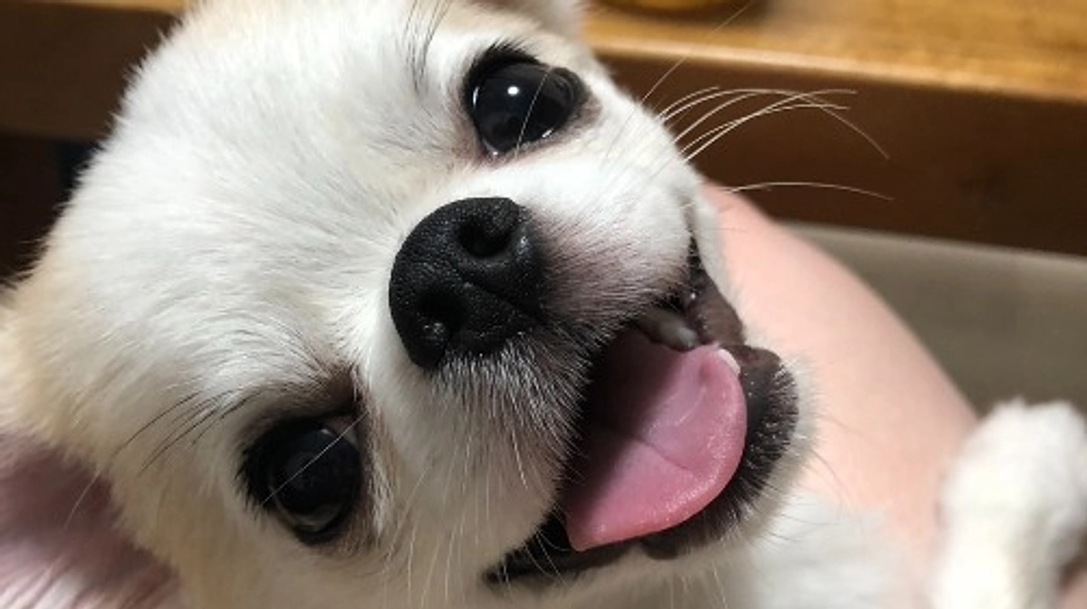 ”術後の経過報告⑰”です。