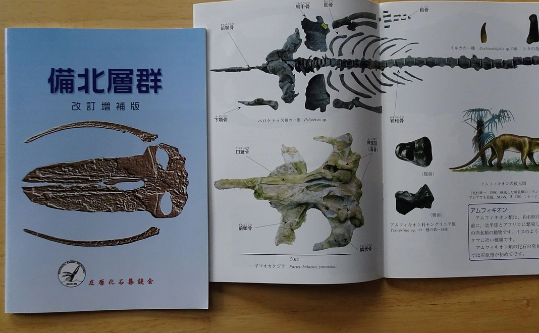 応援コース/広島県北地方化石ガイドブック「備北層群」